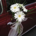 manilla coche boda de gerberas